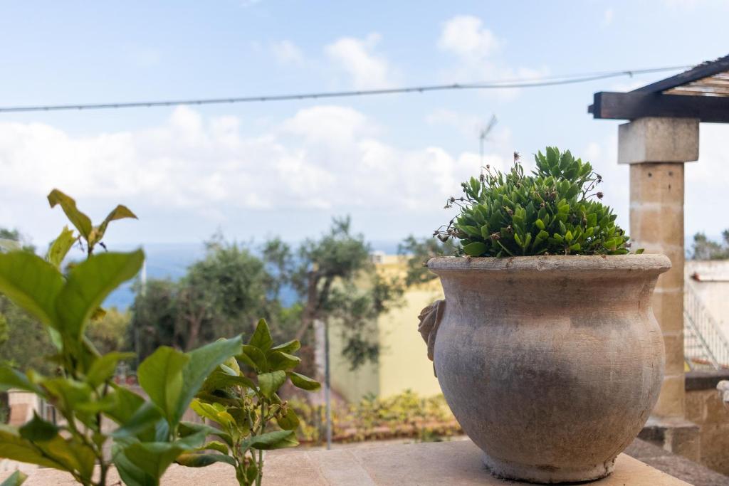 Un jarrón de piedra grande con una planta. en Villa Serra, en Marina Serra