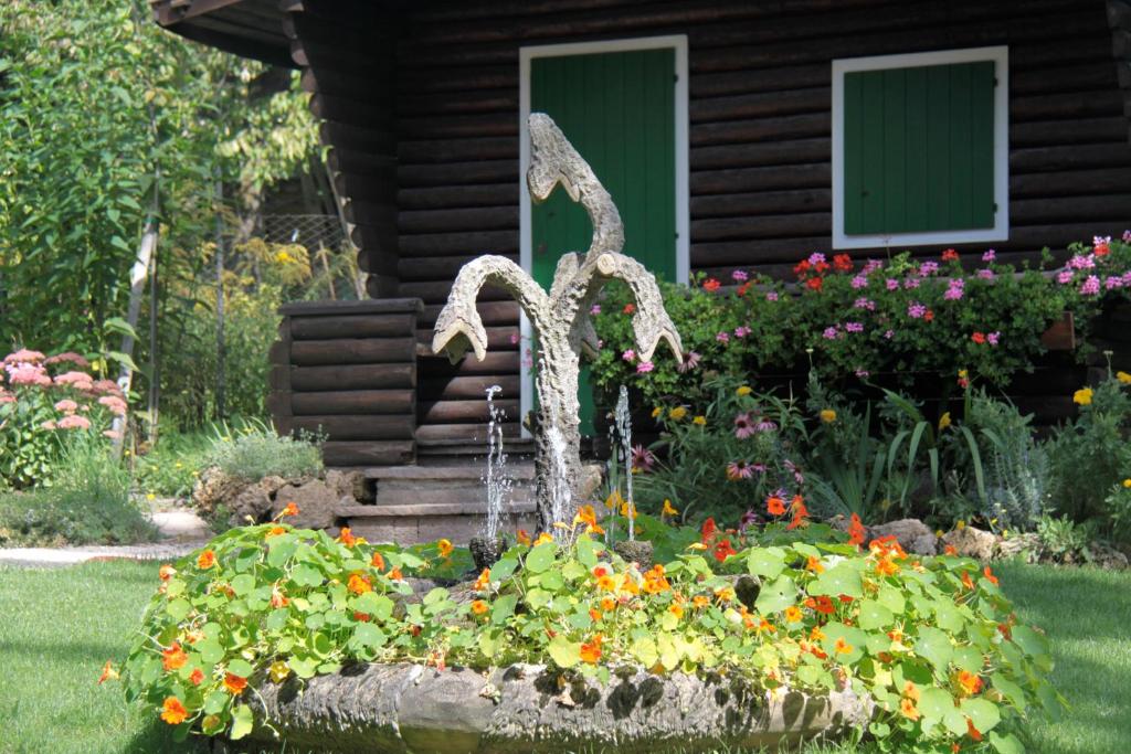 Zahrada ubytování Azalea Park Hotel