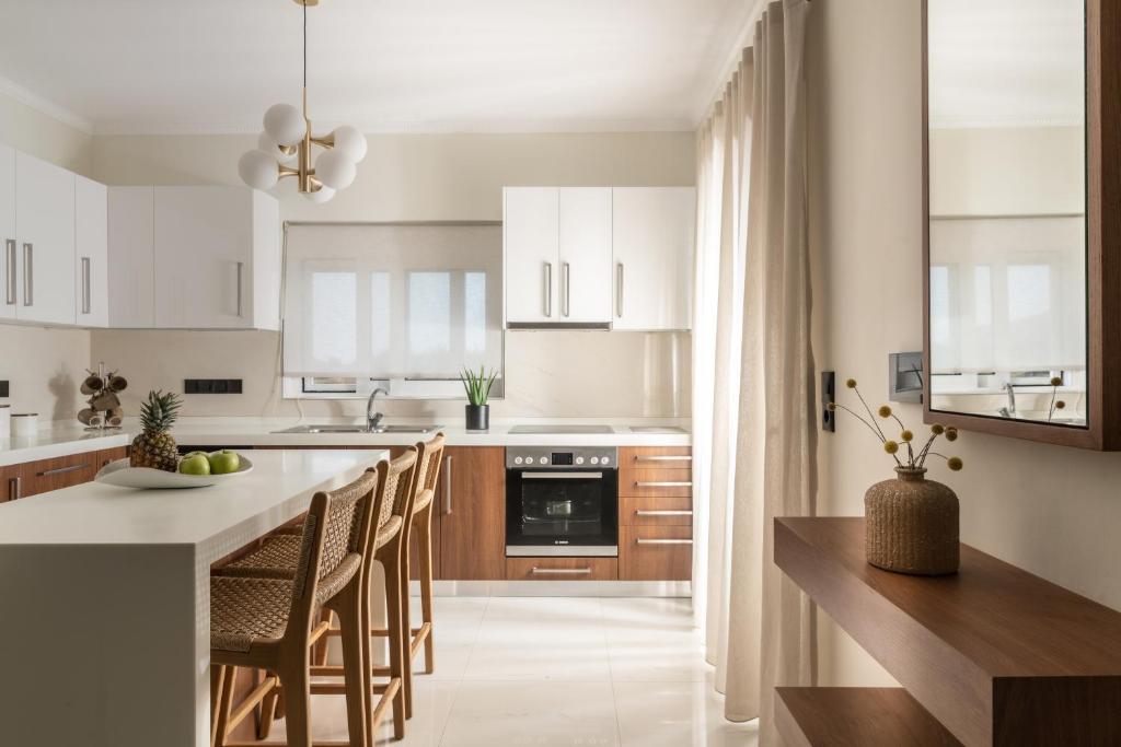 Kuchyň nebo kuchyňský kout v ubytování Villa Alexandros