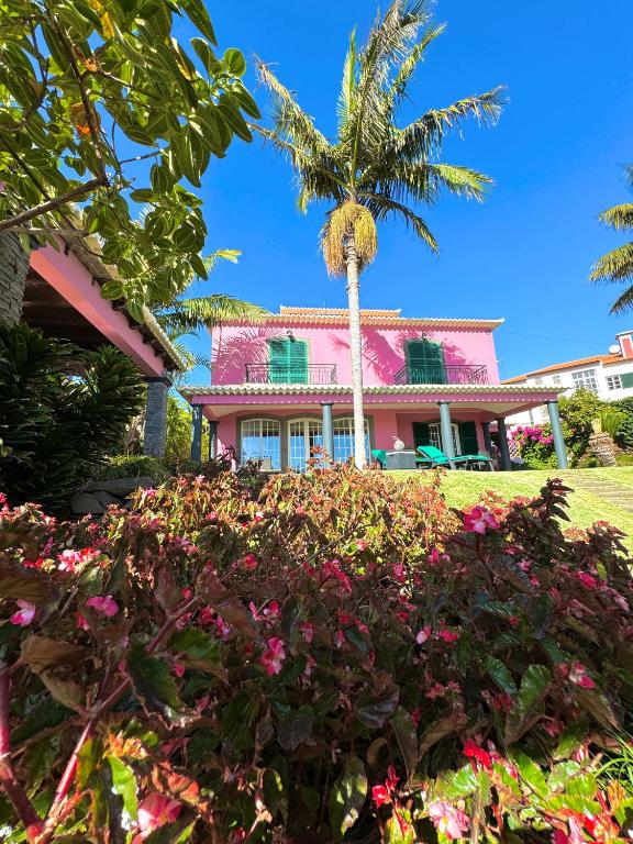 een roze huis met een palmboom en bloemen bij Casa Caboz in Ponta do Sol