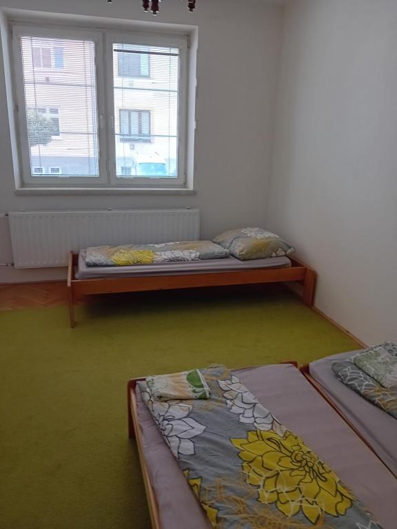 Postel nebo postele na pokoji v ubytování Holub apartment in city centrum