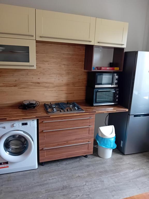 Kuchyň nebo kuchyňský kout v ubytování Holub apartment in city centrum