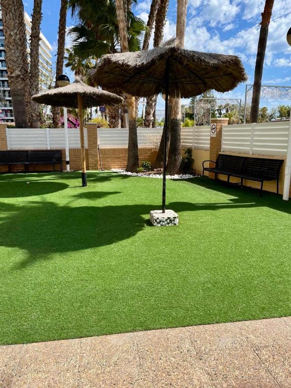 Zahrada ubytování 1ra Linea Playa Magic World Luxury Apartament PP3 Pet