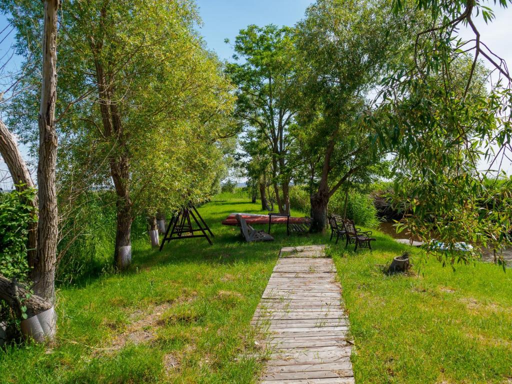 Příroda nedaleko bed and breakfast