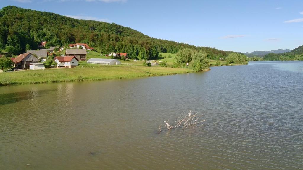 Příroda nedaleko prázdninového domu
