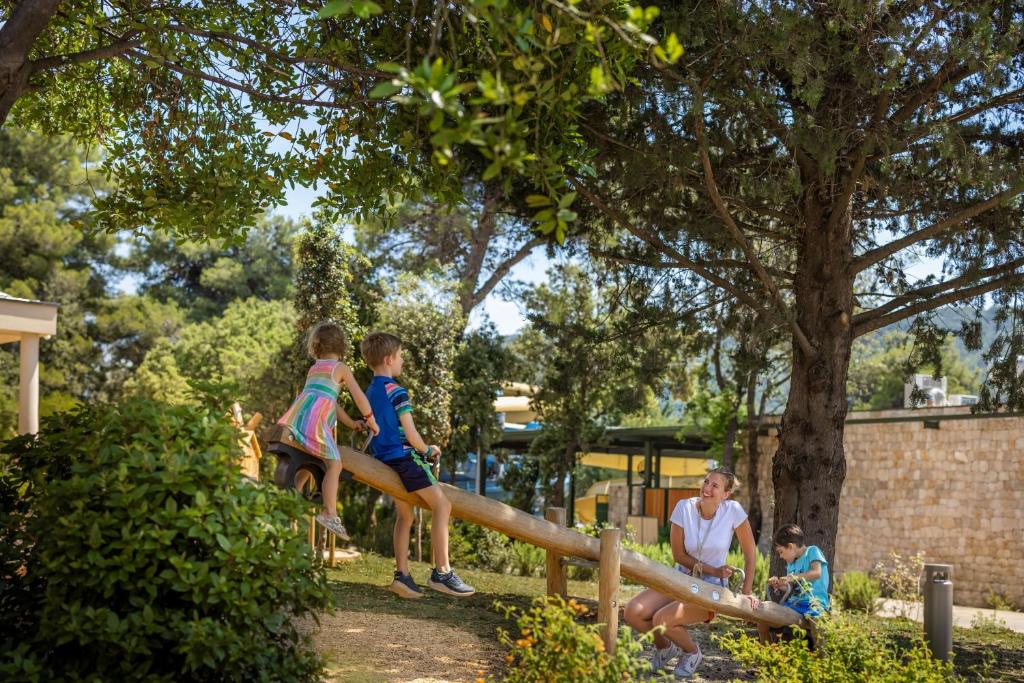 Majutusasutuse Valamar Amicor Resort külastajad