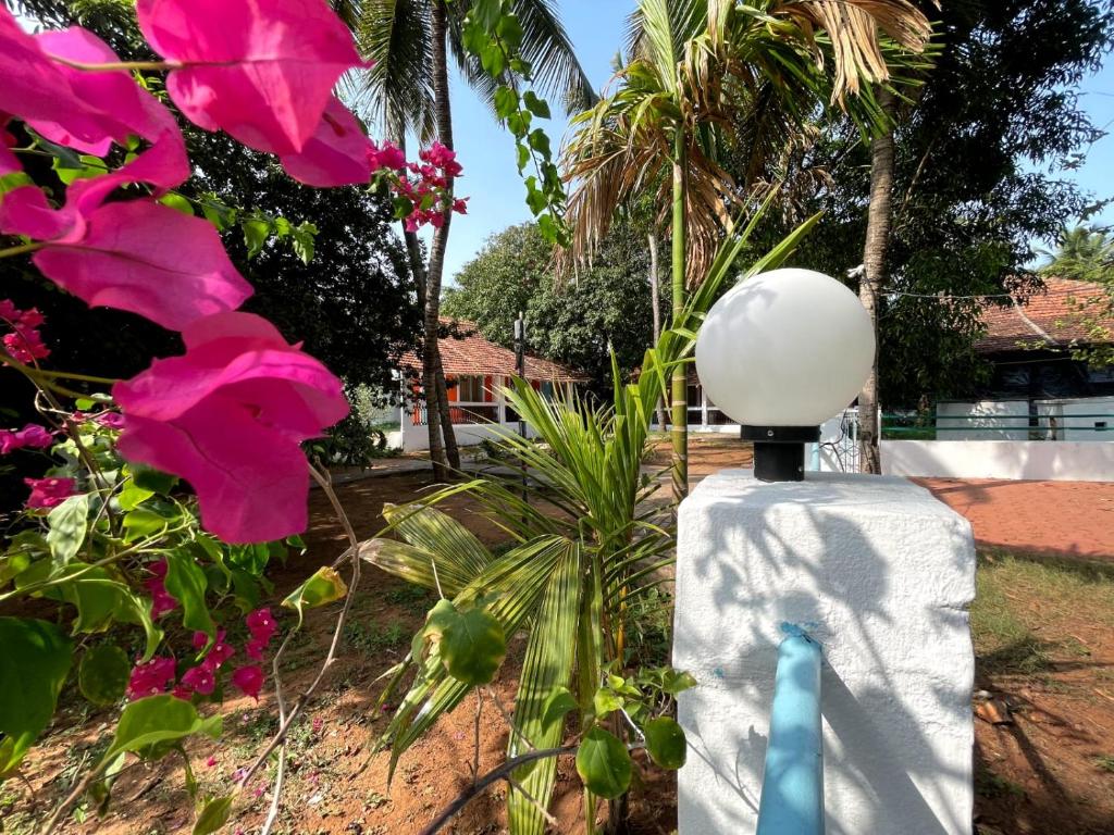 a lampost in a garden with pink flowers at Papilio Beach Front Cottages-TBV in Old Goa