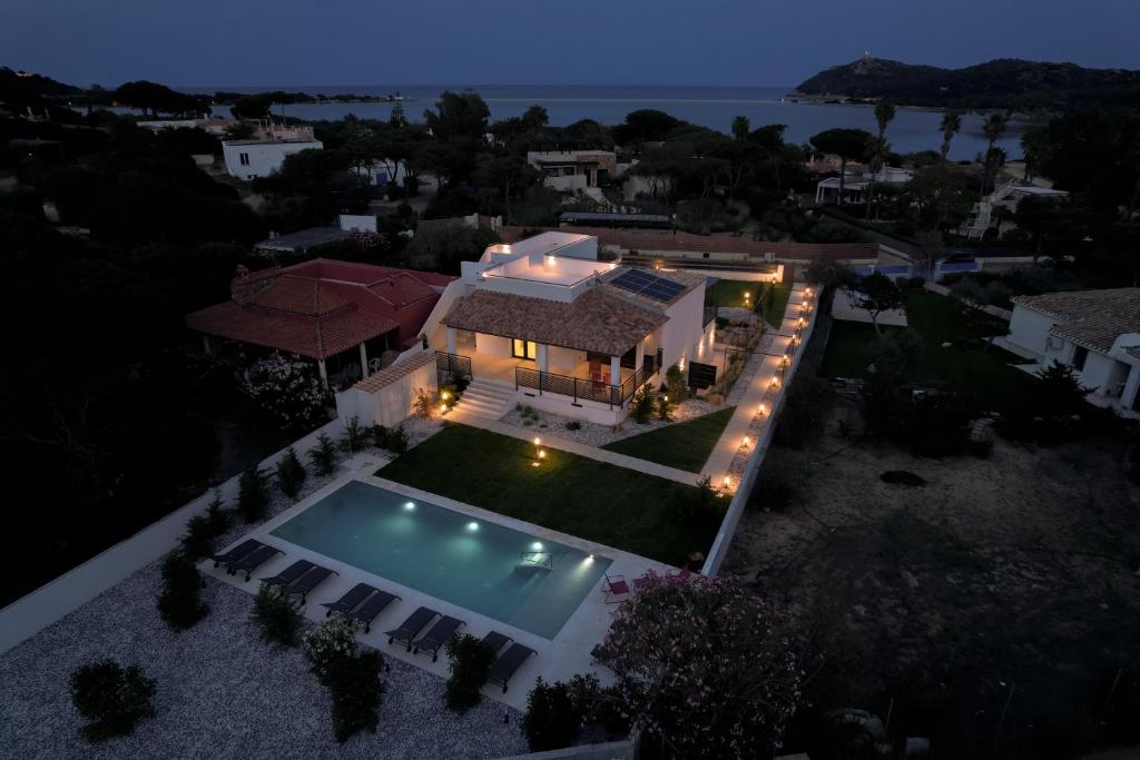 Domus Delfino