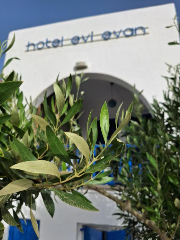 加利薩斯的住宿－Εvi Evan Hotel，建筑物前有标志的树