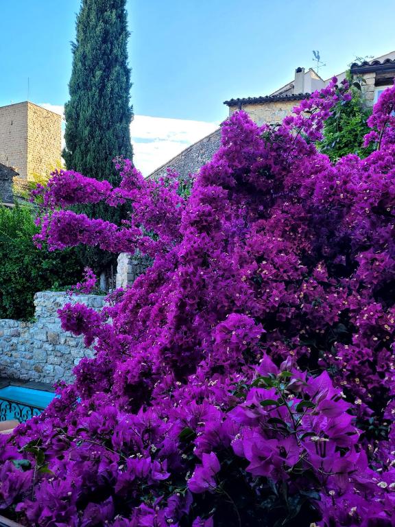 Villa Arca - Suite Avec Balcon