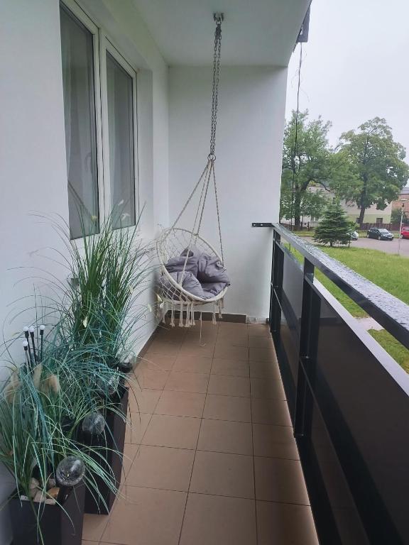 Balkón nebo terasa v ubytování Cosy Space Apartment