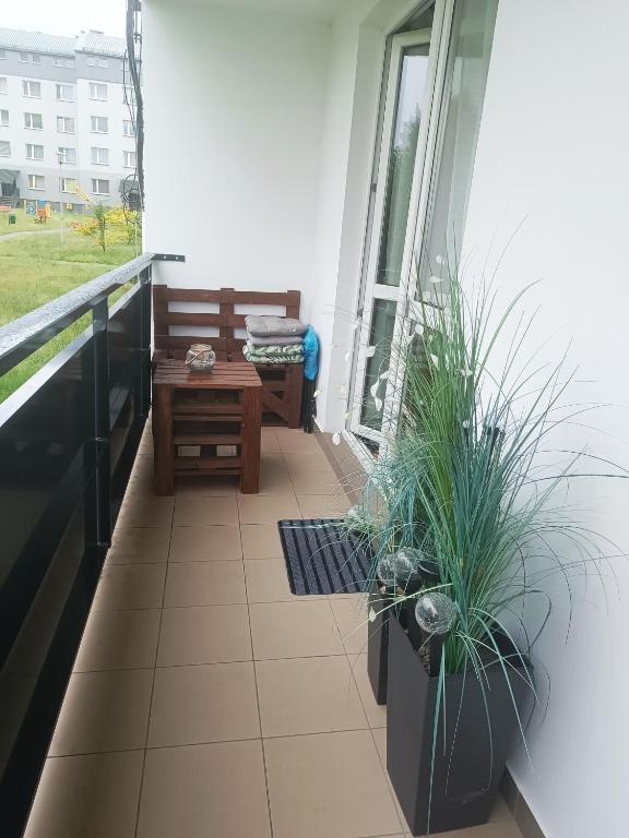 Balkón nebo terasa v ubytování Cosy Space Apartment