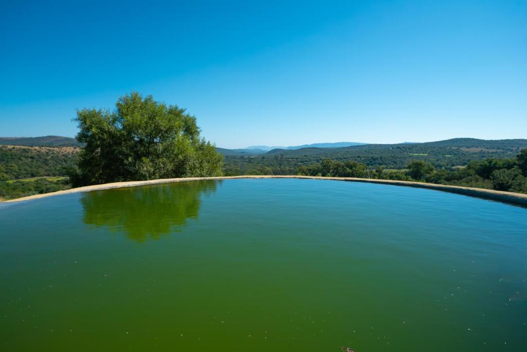 a large pool of water with a tree in the background at Kokopelli farm in Magaliesburg