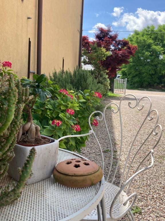 Zahrada ubytování B&B L'Airone