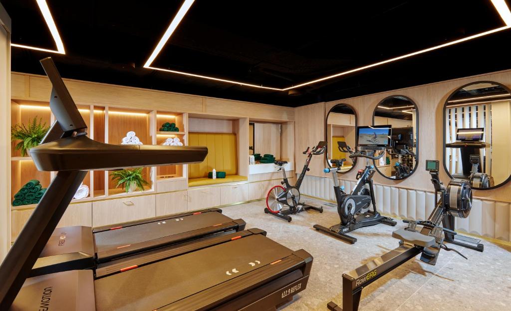Fitness centrum a/nebo fitness zařízení v ubytování The Chancery Hotel