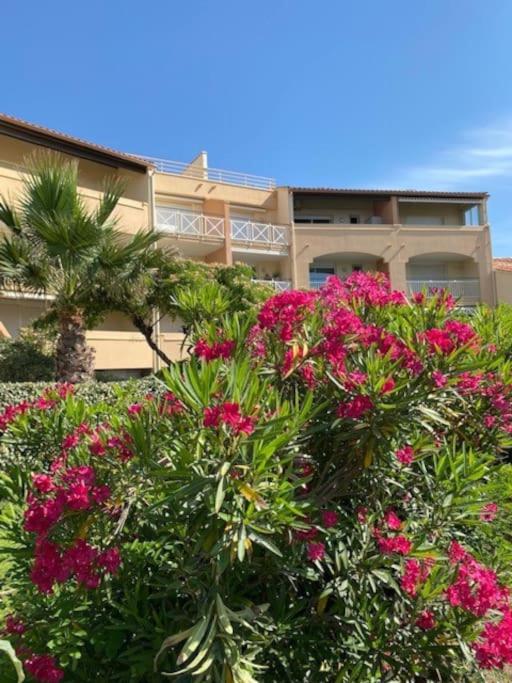 une brousse de fleurs roses devant un bâtiment dans l'établissement Apt 5 personnes parking - piscine collective - front de mer - Ménage inclus -V0730, à Vias