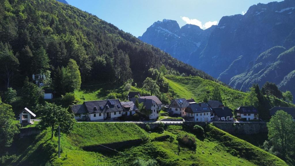 Příroda nedaleko apartmánu