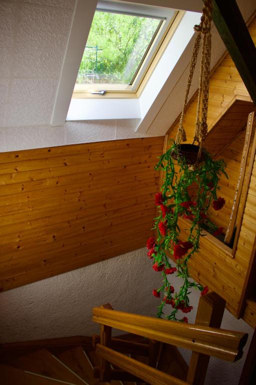 Fotografie z fotogalerie ubytování Apartment Pohar v destinaci Log pod Mangartom