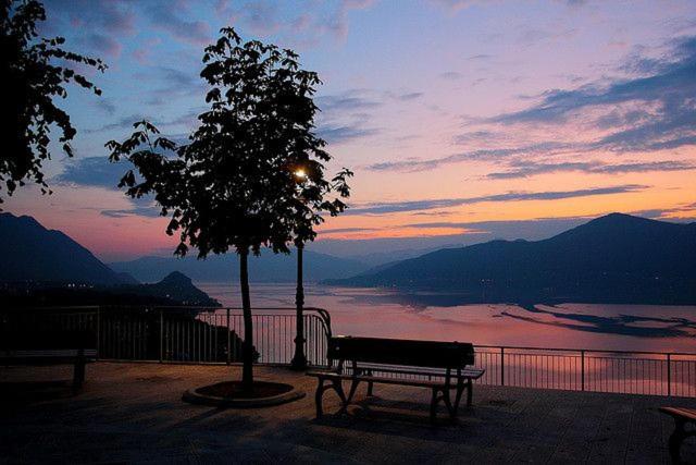 a bench next to a tree with a view of a lake at Appartamento IL Tulipano in Brezzo