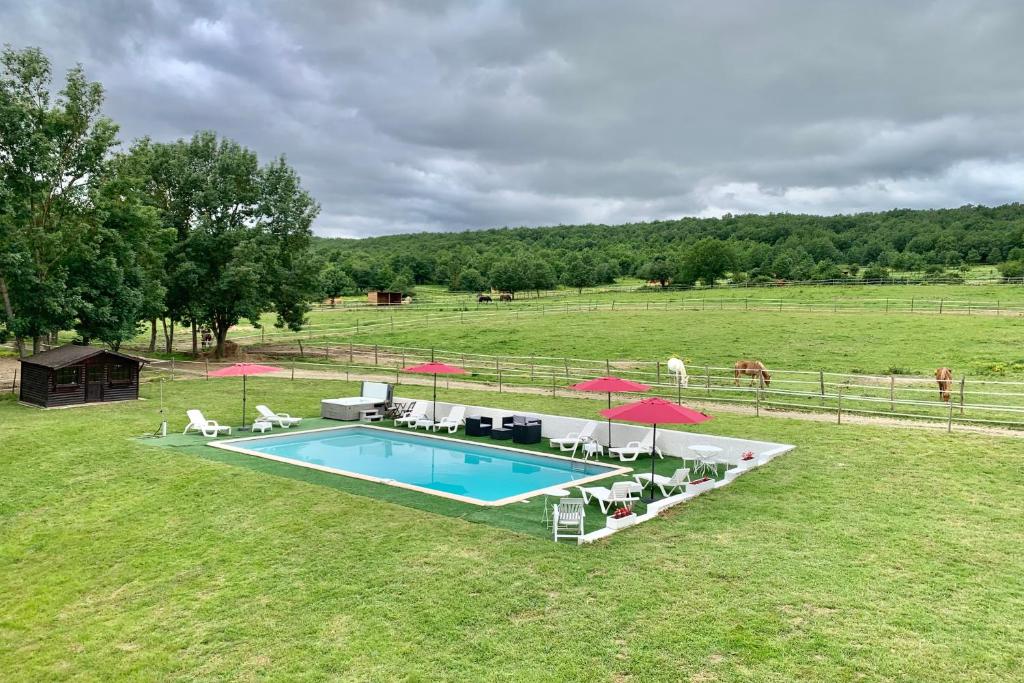 una vista aérea de una piscina en un campo con sombrillas en Domaine du cheval d’argent, 