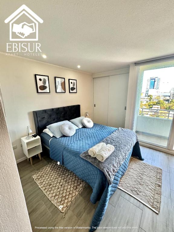 EBISUR Apart - Hoteles CRUZ - One-Bedroom Apartment