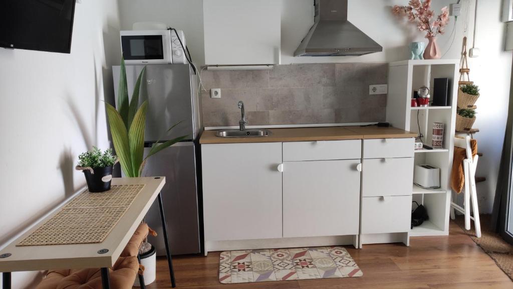 a small kitchen with a sink and a refrigerator at Park Güell estudio in Barcelona