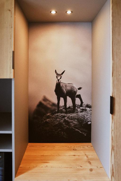 Fotografie z fotogalerie ubytování Albergo Meublè Vecchio Scarpone v destinaci Baceno