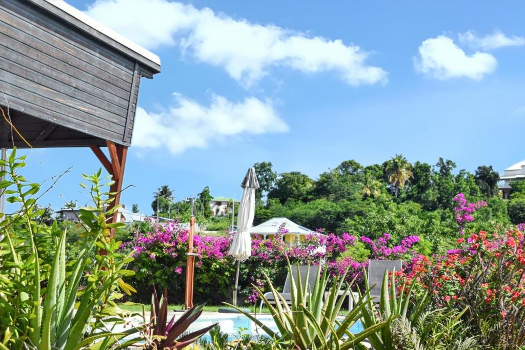 een tuin met bloemen en een paraplu bij Villa d'une chambre avec piscine privee terrasse amenagee et wifi a Le Gosier a 1 km de la plage in Le Gosier