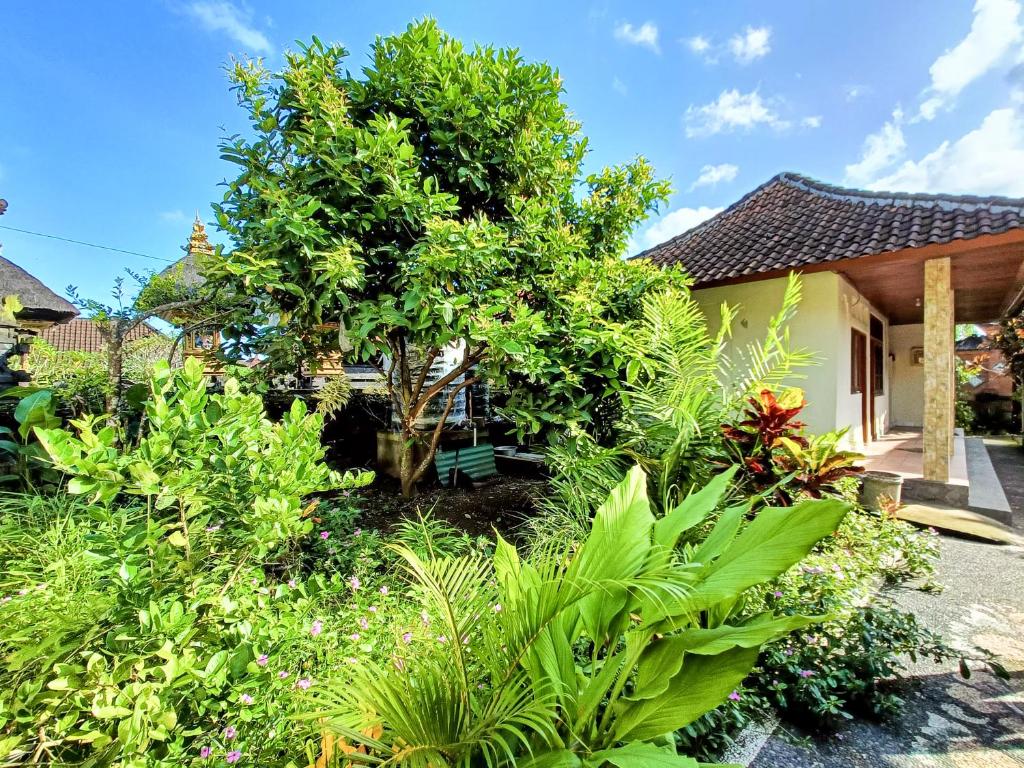 Zahrada ubytování Wisuda Guest House