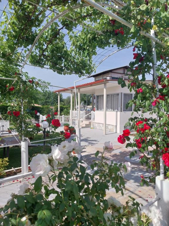 a garden with roses in front of a building at Villa Artzie. Έξοχικο με τεράστιο εξωτερικό χώρο. in Nea Kalikratia