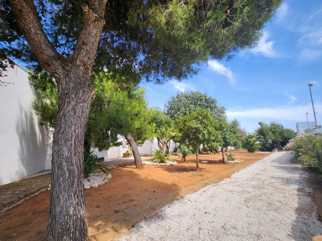 Zahrada ubytování HOTEL SoleMare Gallipoli