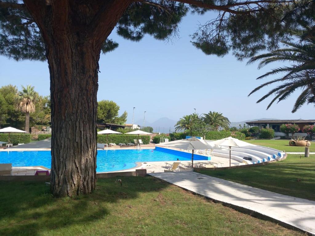 a large swimming pool with a tree in the foreground at One bedroom house with shared pool and furnished garden at Lentia 2 km away from the beach in Vulcano