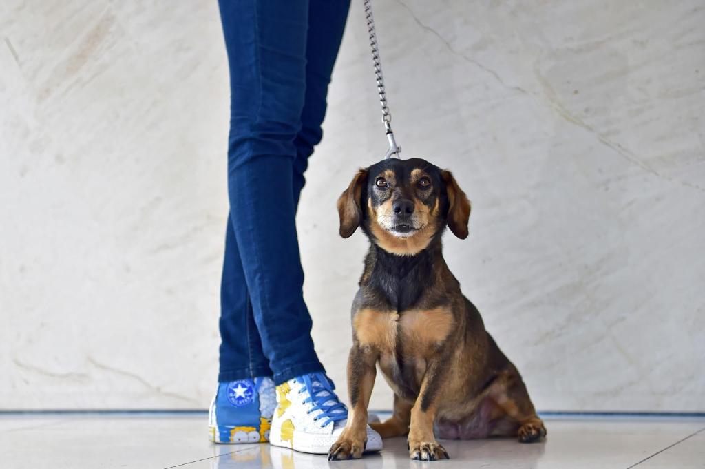 Pestana Berlin Tiergarten - Resim 14