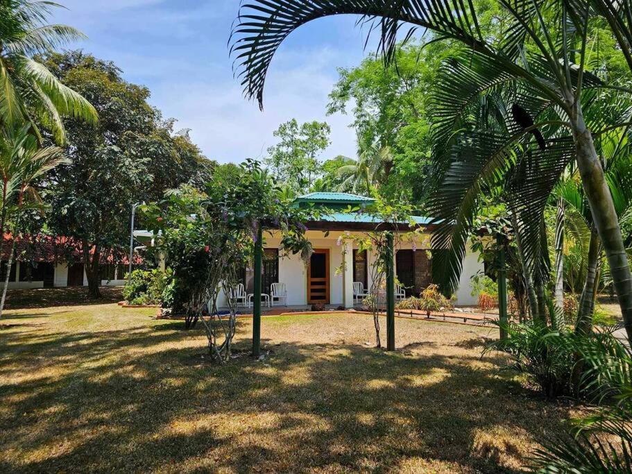 Κήπος έξω από το 2 bedroom beachside villa