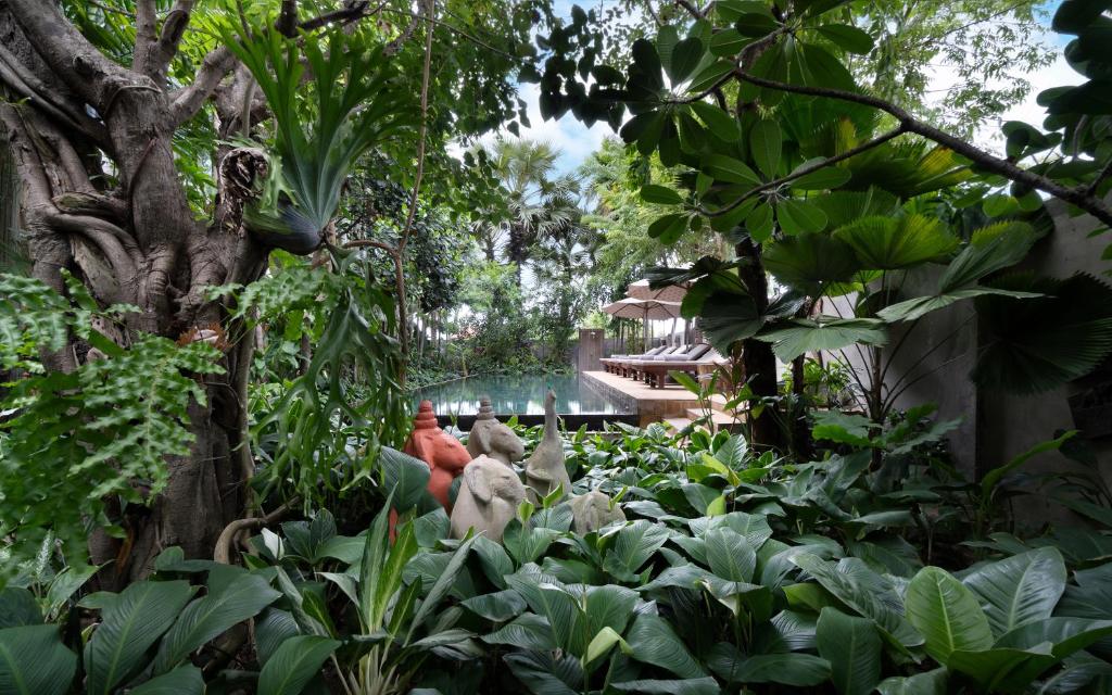 un jardin avec des plantes vertes et un bâtiment en arrière-plan dans l'établissement The Nature, à Siem Reap