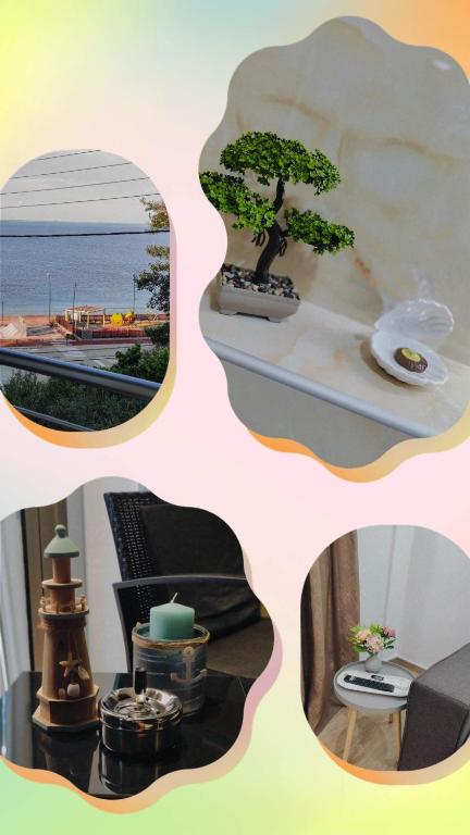a collage of four pictures of a bonsai tree at Infinity Apartment in Nea Moudania