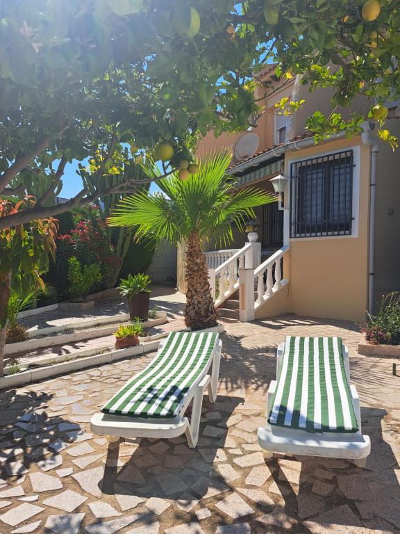 カルプにあるParaíso Familiar en Marisol Park Bungalow con Piscina, Tenis y Parkingの木の横に置かれた緑と白のベンチ2つ