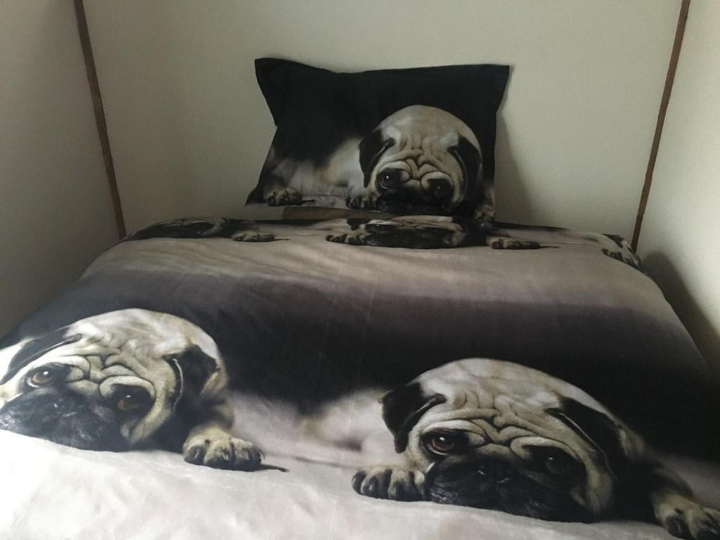 two pug dogs laying on a bed at Oasis Wadaura - Vacation STAY 85732v in Kamogawa