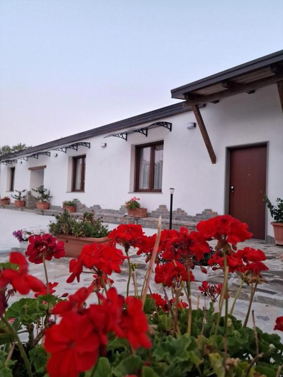 Budova, kde se the country house nachází