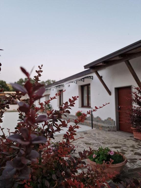 Budova, kde se the country house nachází