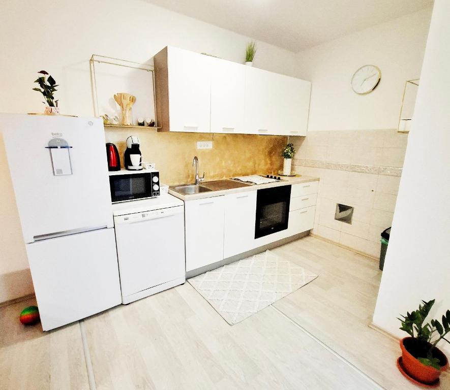 Kuchyňa alebo kuchynka v ubytovaní Apartman Golden Star