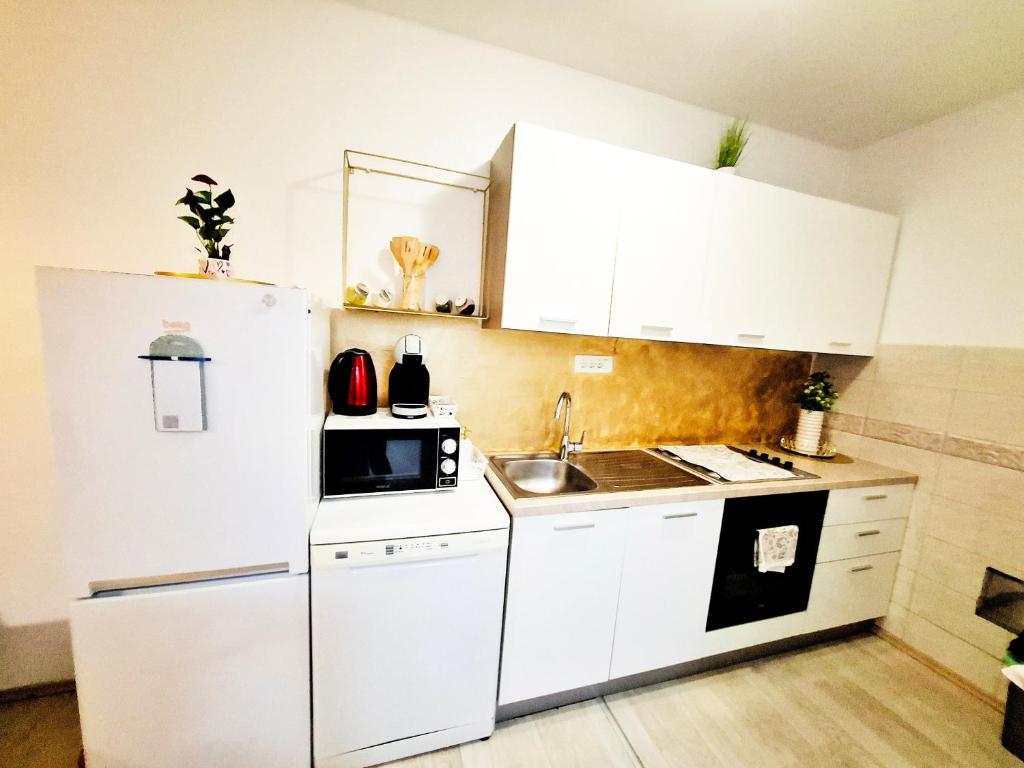 Kuchyňa alebo kuchynka v ubytovaní Apartman Golden Star