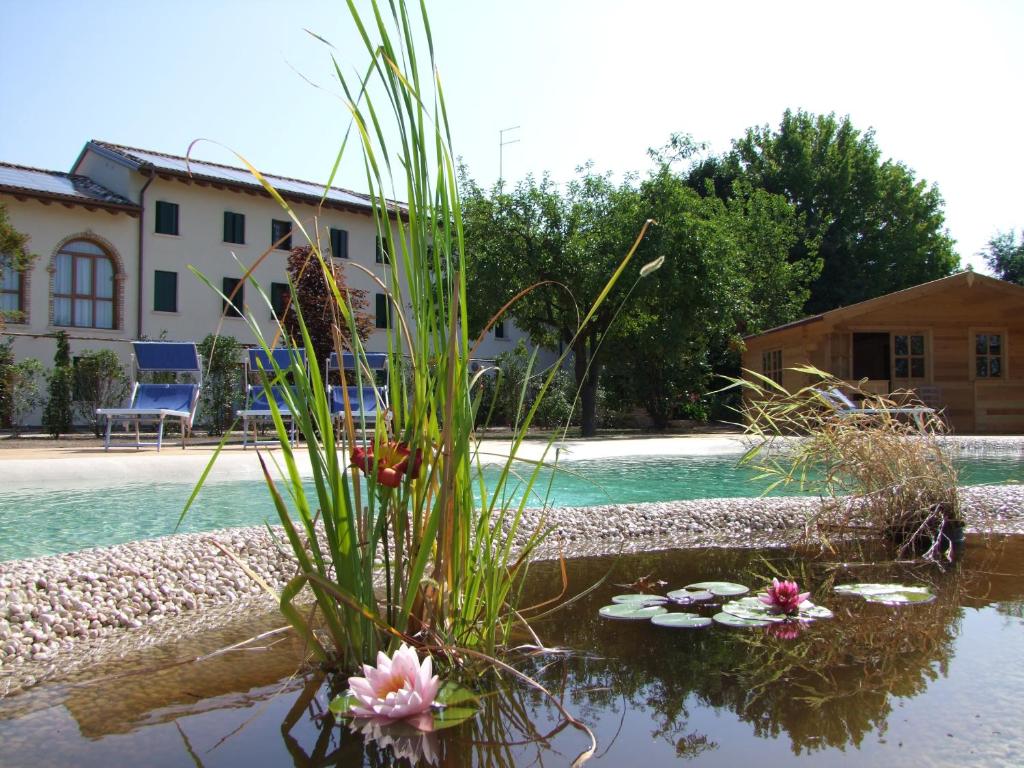 Bazén v ubytování Agriturismo L'Acero Rosso nebo v jeho okolí
