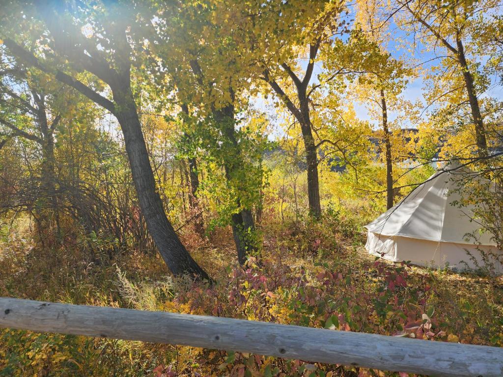 Příroda nedaleko luxury tent