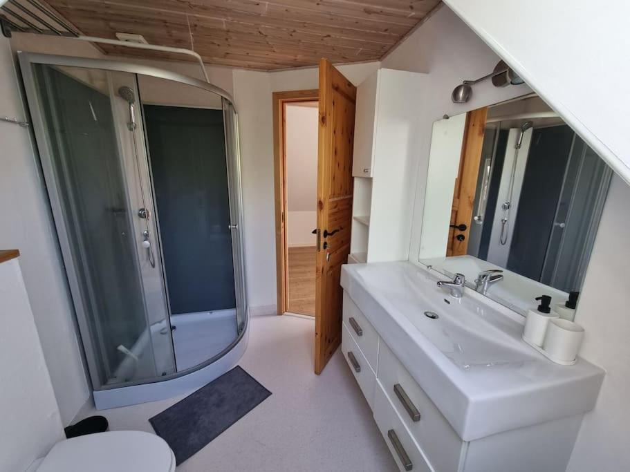 ein Bad mit einem Waschbecken, einer Dusche und einem Spiegel in der Unterkunft Willkommen in Frifelt Nähe Rømø mit wunderschönen Garten in Skærbæk