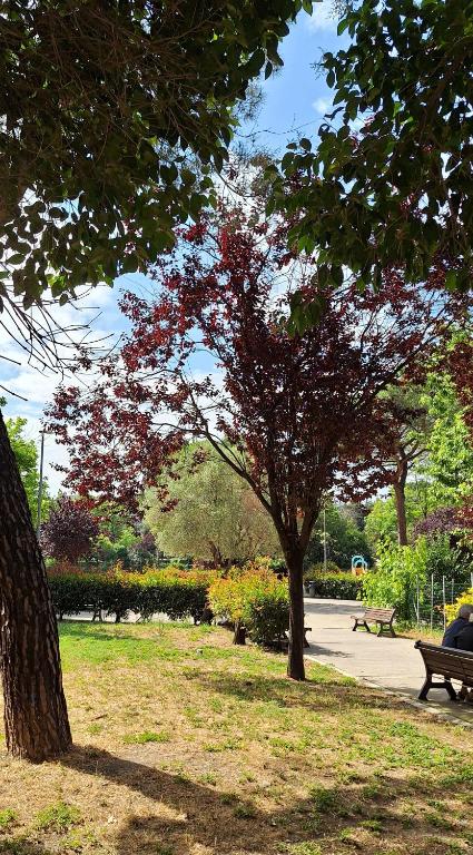 Giardino di La casa di Viola - Trastevere