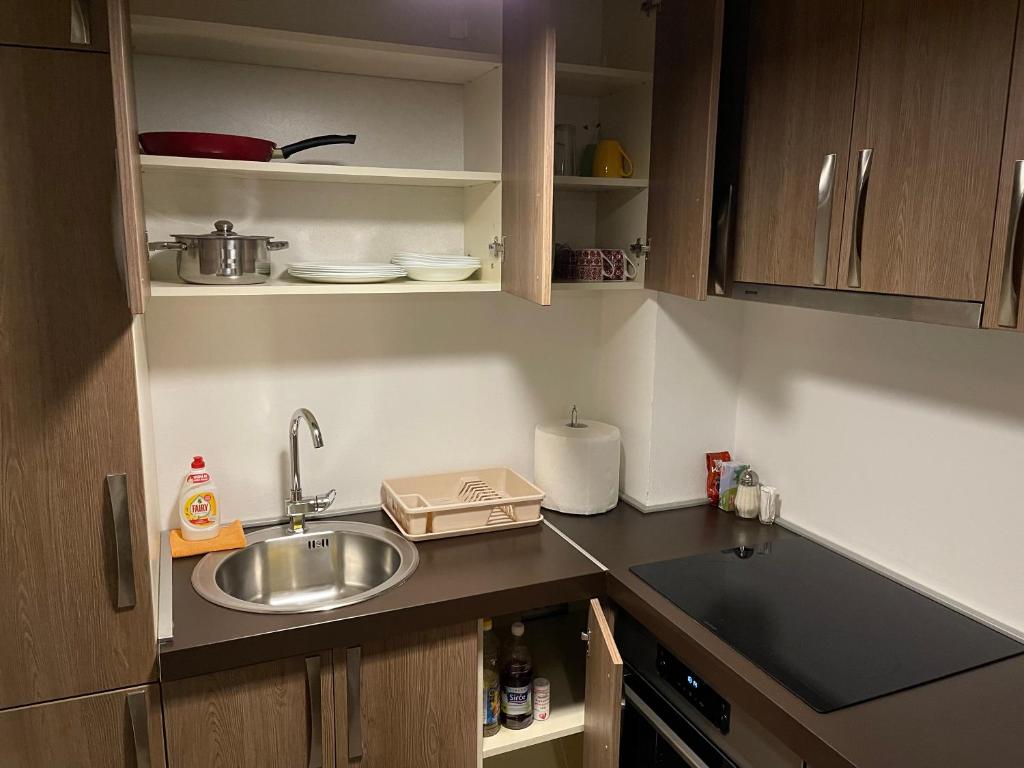 Kuchyň nebo kuchyňský kout v ubytování Apartmani B&A