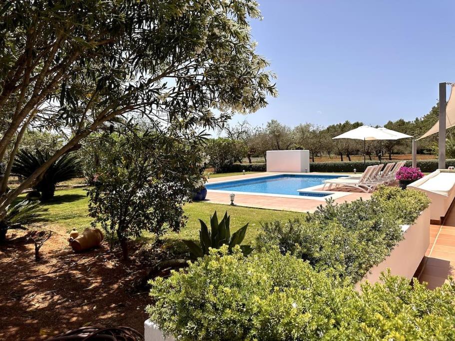 een achtertuin met een zwembad en een aantal planten bij Villa Sa Vinyeta in Sant Llorenç de Balafia