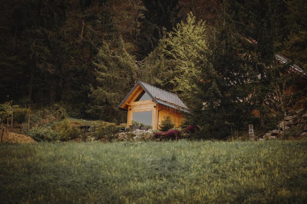 uma pequena cabana no meio de um campo em Med smrekami - Studio apartment with Chalet, Sauna and Jacuzzi em Cerklje na Gorenjskem