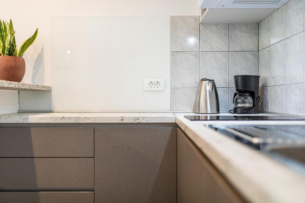 Kuchyňa alebo kuchynka v ubytovaní Apartmani Pina